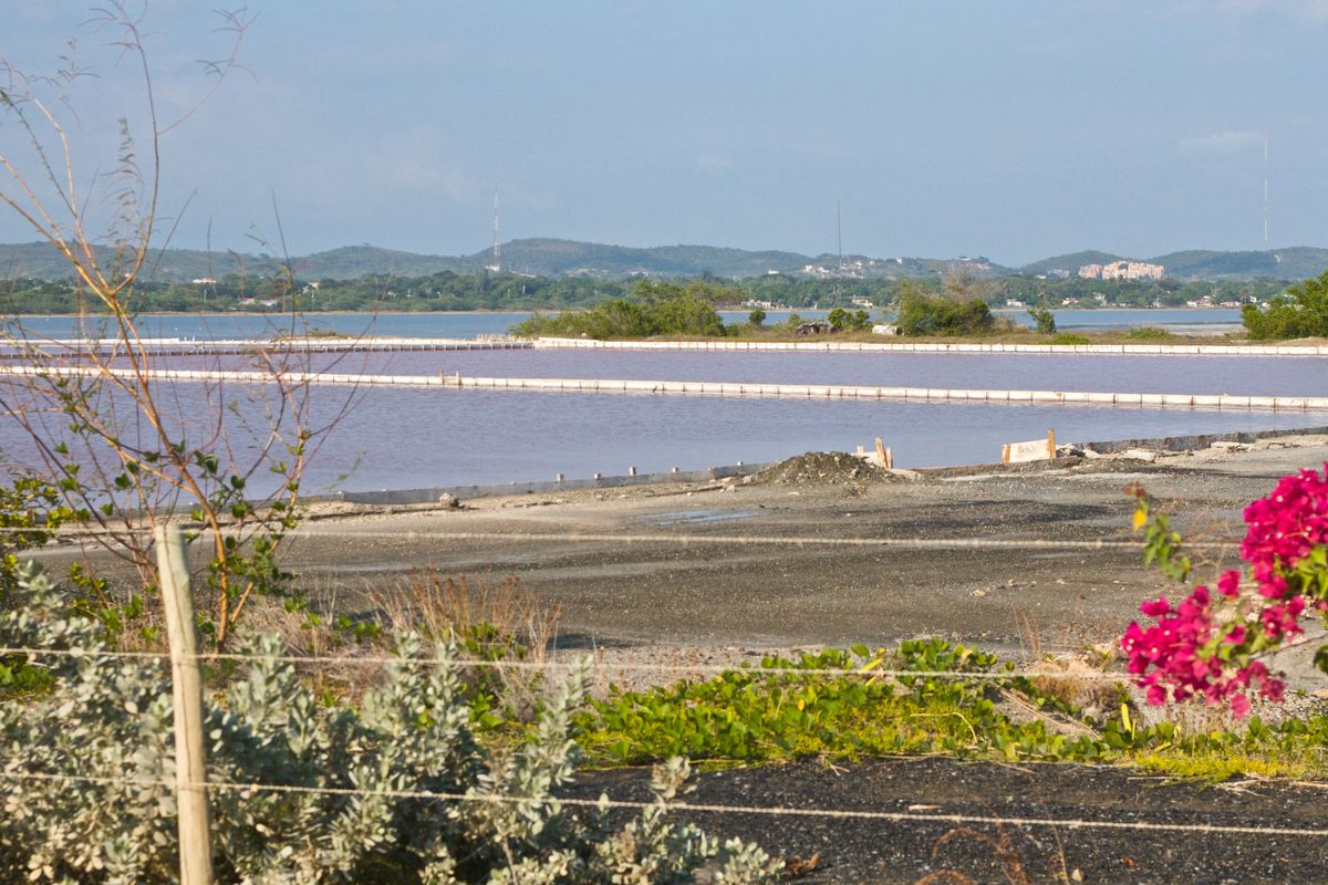 Pink-tinted salt flats near Cabo Rojo, Puerto Rico, with hills in the background