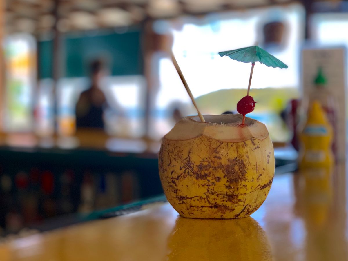 A fresh green coconut with a straw and cocktail umbrella, at a beach bar in Vieques, Puerto Rico
