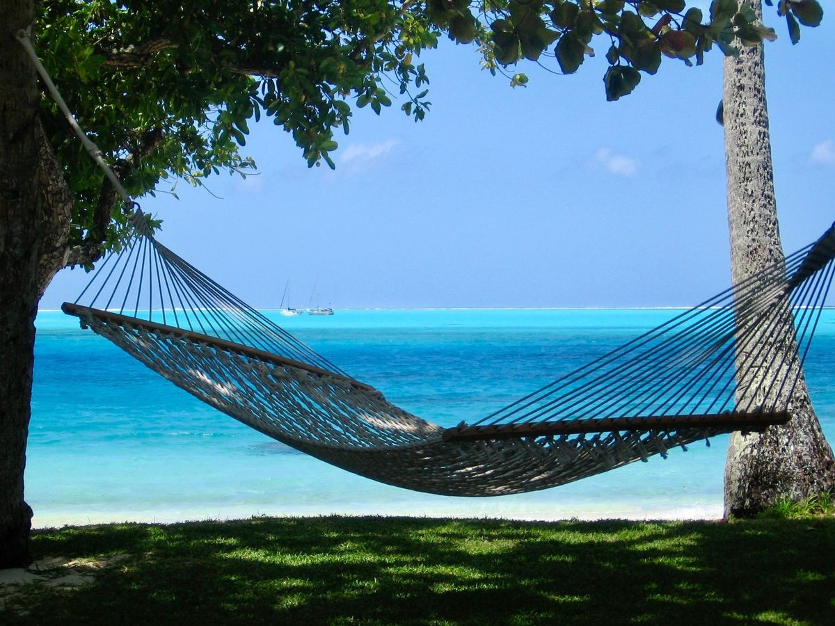 An empty rope hammock strung between two trees overlooking a turquoise ocean